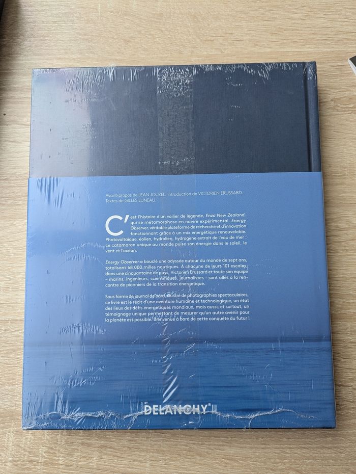 Livre les enjeux énergétiques - photo numéro 2