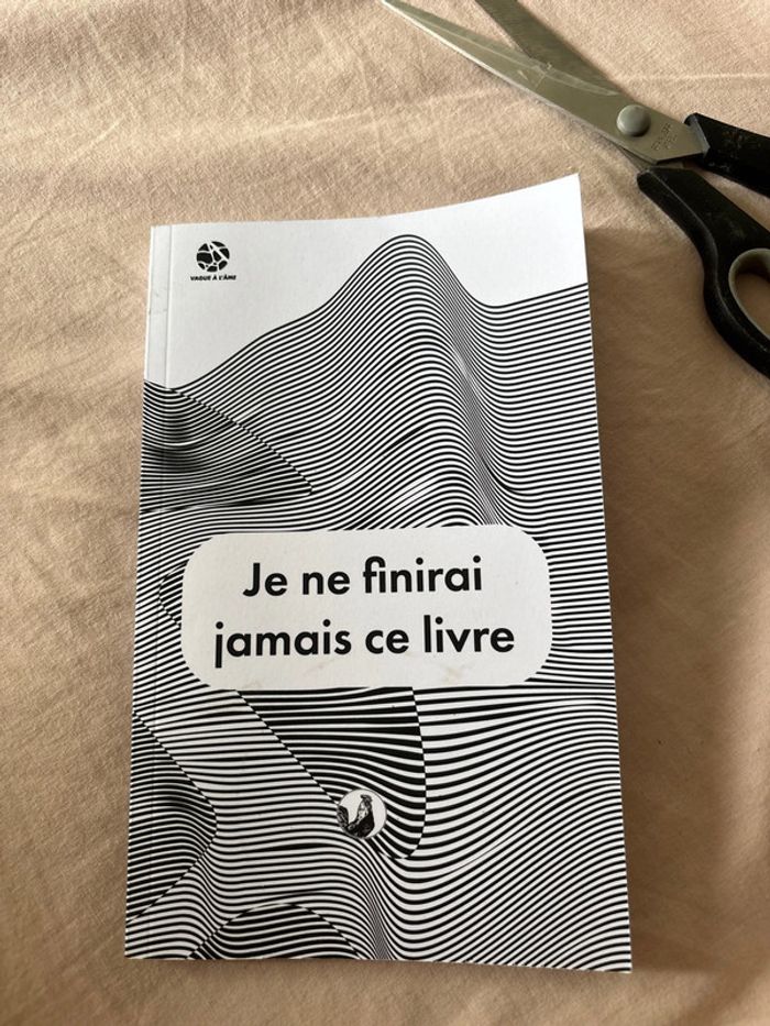 Je ne finirai jamais ce livre