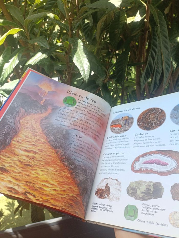 Livre mon petit monde Les volcans. - photo numéro 6