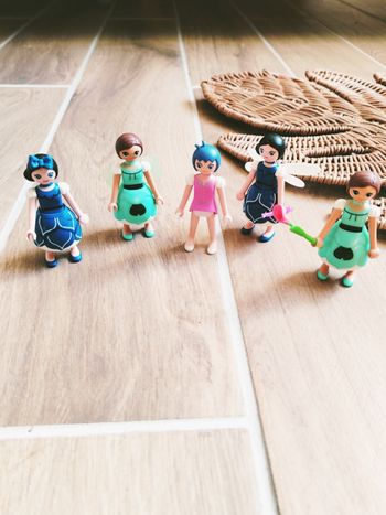 🦄Playmobil fairies/féerie Super 4 lot de 5 figurines fées (MMS)