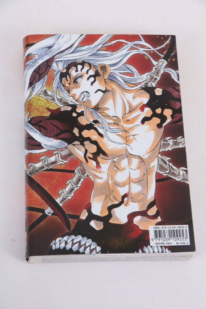 Demon Slayer – Volume 23 - photo numéro 2