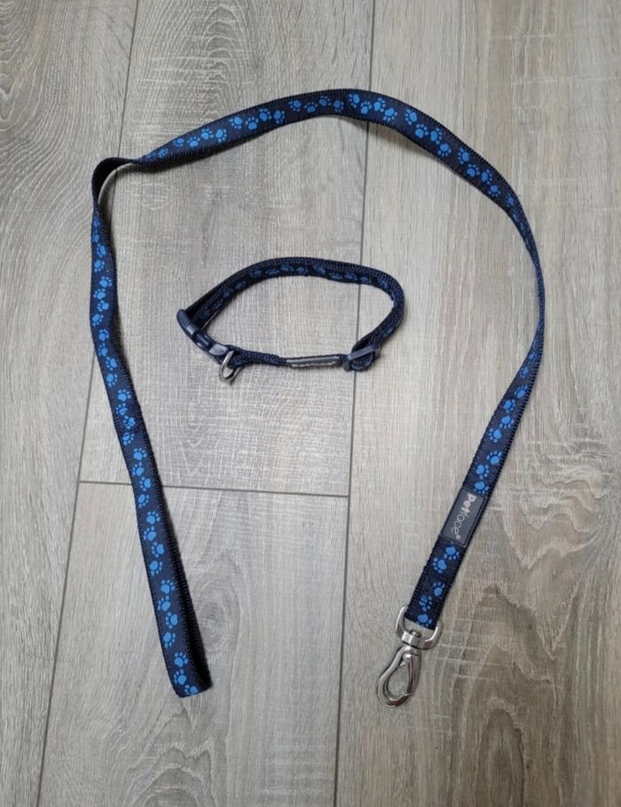 Lot laisse et collier