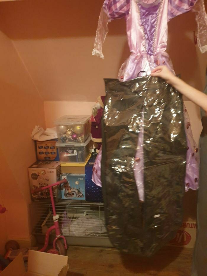 Robe princesse - photo numéro 2