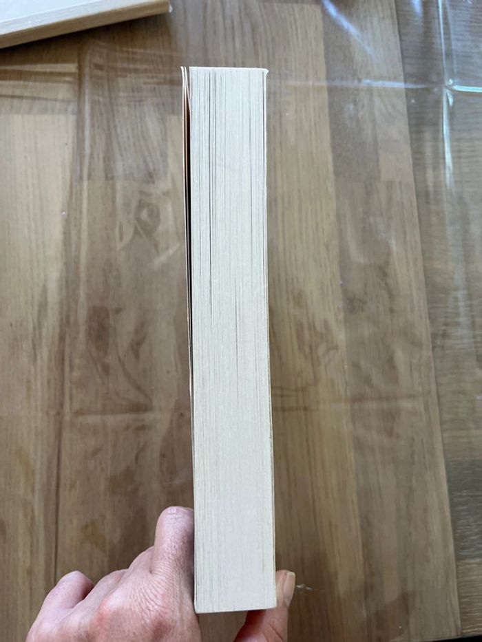 Livre les ventres jaunes - photo numéro 4
