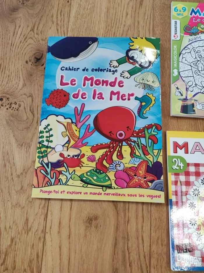 Lot 3 livres de coloriage - très bon état - photo numéro 2