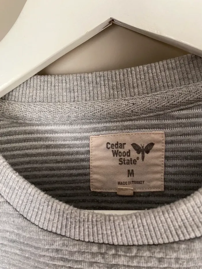 Sweat gris clair pour homme - photo numéro 2