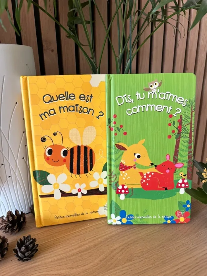 Lot de 2 livres à flops