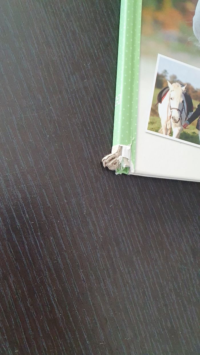 Championnes du club - photo numéro 2