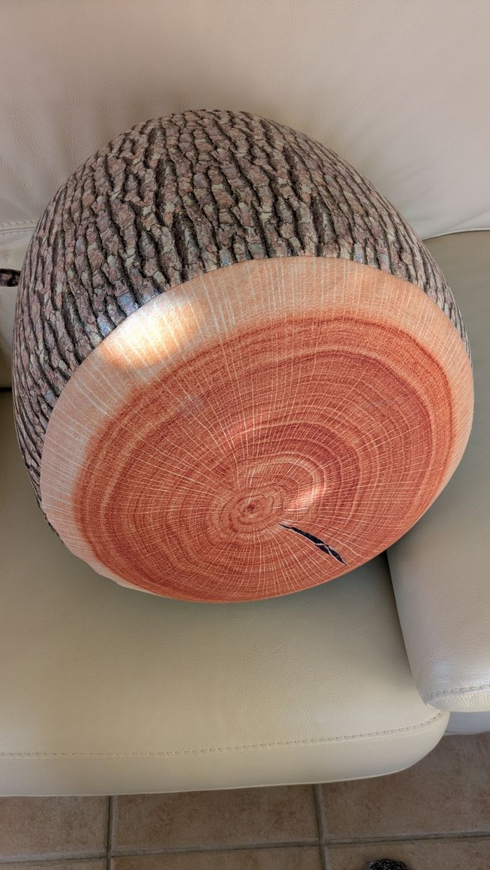 Pouf tronc d' arbre - photo numéro 3