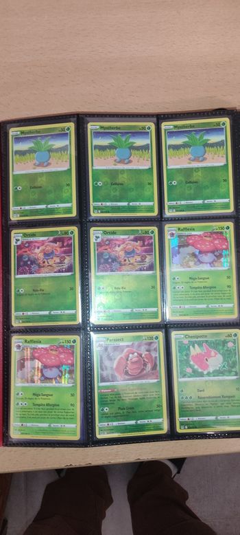 Carte Pokémon reverse et holo origine perdu FR
