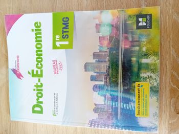 Droit-Economie 1re STMG Perspectives Foucher 2019 - Excellent état