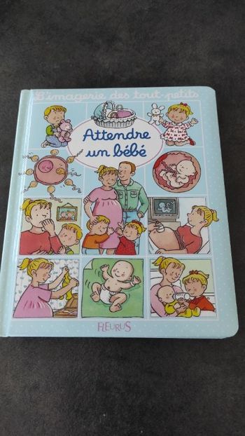 Livre pour enfant "Attendre un bébé"