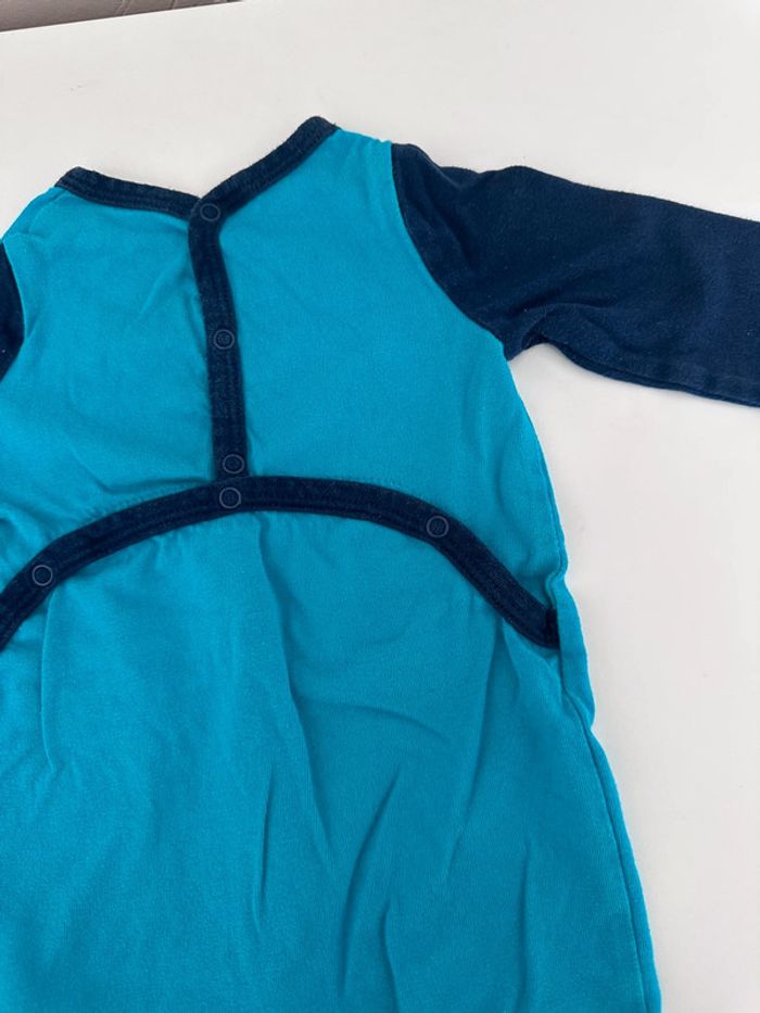 Pyj piranha - photo numéro 5