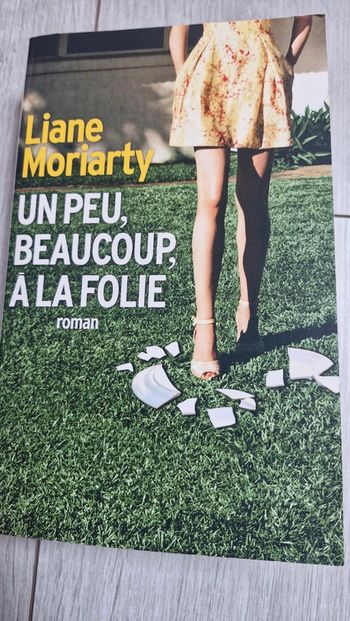 Livre Un peu, beaucoup, à la folie