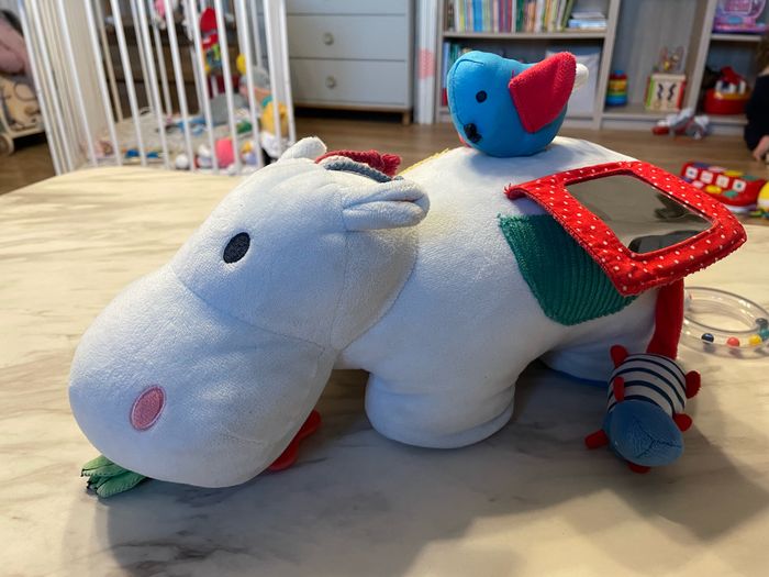 Hippo sensoriel oxybul