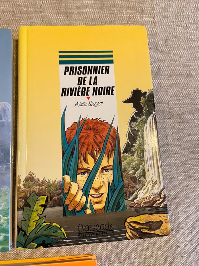 Lot de cinq romans jeunesse lecteurs 10/12 ans - photo numéro 4