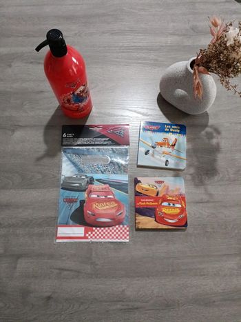 Lot Cars & Planes Disney – Gel douche 1 Litre  livres & sacs de fête
