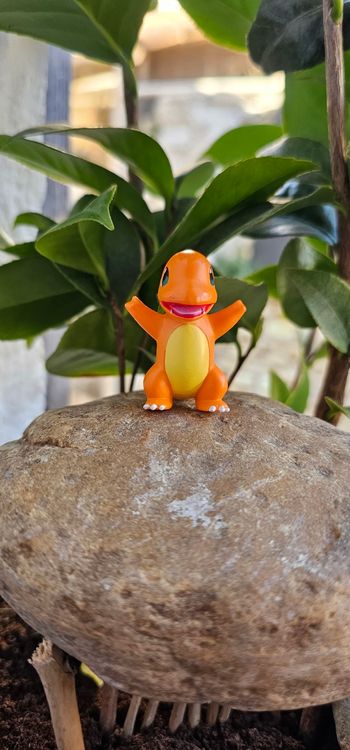 Super figurine Pokemon Nintendo Salameche 