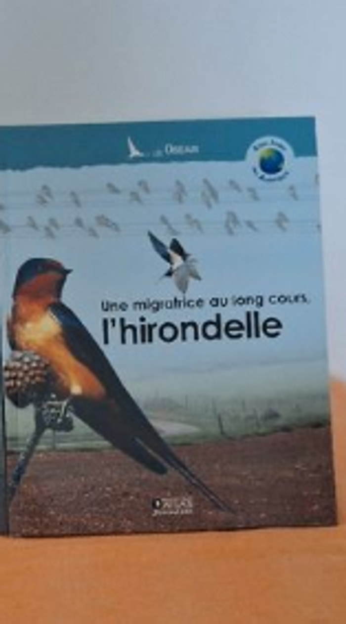 l'hirondelle
