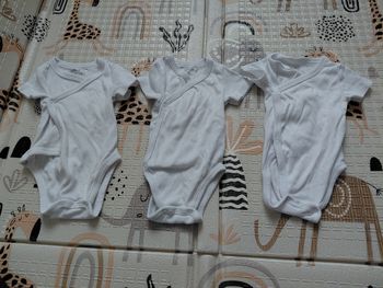 Lots 3 bodies 1 mois 