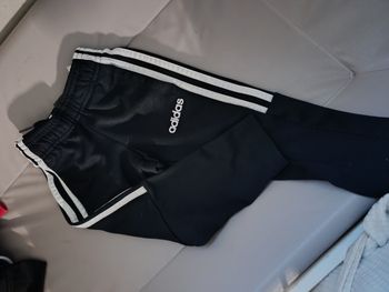 Ensemble adidas+ pantalon adidas