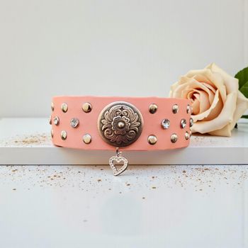 Collier en biothane pour moyen et grand chien 