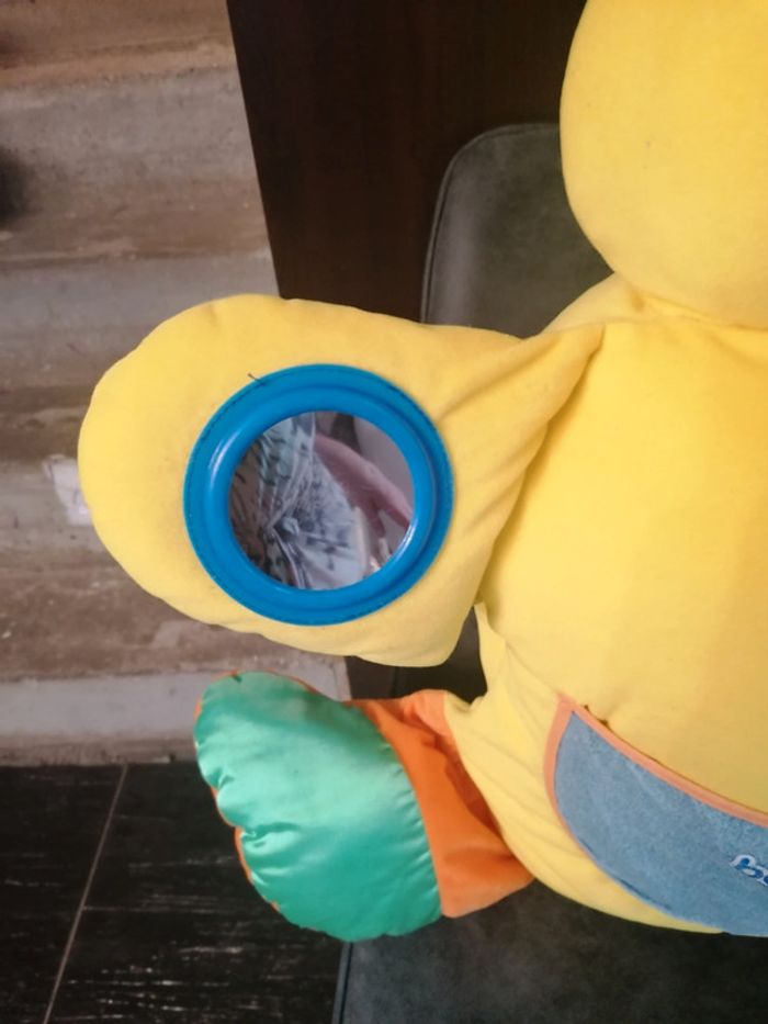 Gros canard - photo numéro 5