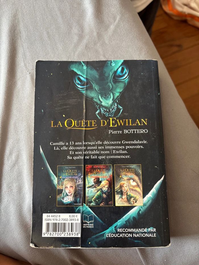 La quête d’Ewilan - photo numéro 2