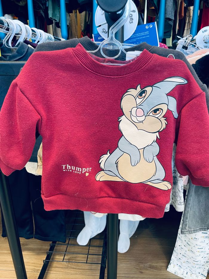 Lot de 2 sweat Disney 6 mois