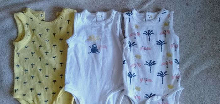 Lot de 3 body manches courtes 9 mois