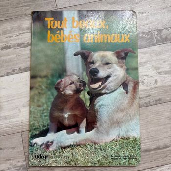 Livre enfants