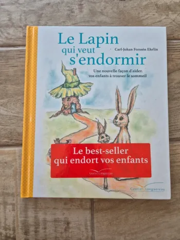 Livre Le lapin qui veut s'endormir