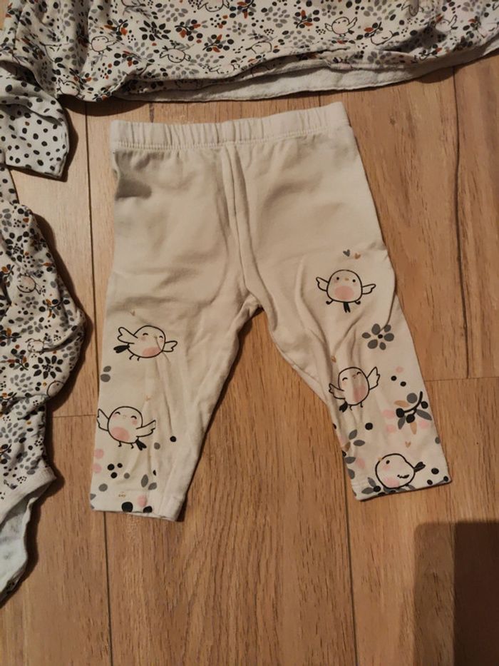 Ensemble DPAM oiseau - photo numéro 3