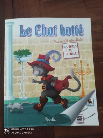 Livre d histoire chat botté
