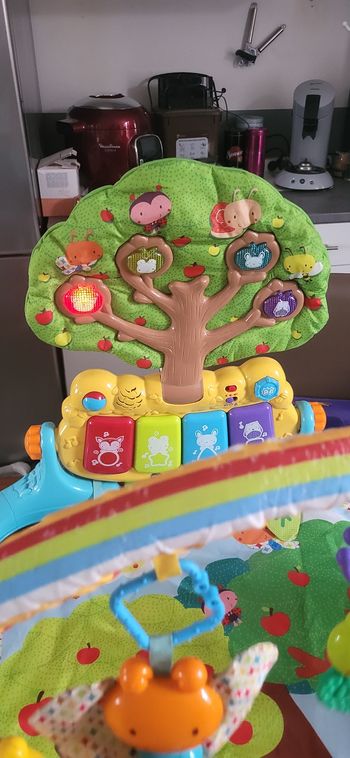 Tapis d’eveille ficher prince