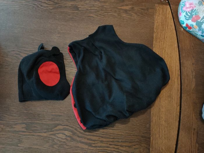 Déguisement coccinelle 2 ans - photo numéro 2
