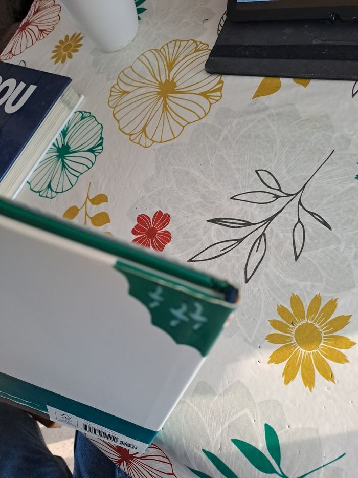 Over the ocean - photo numéro 4