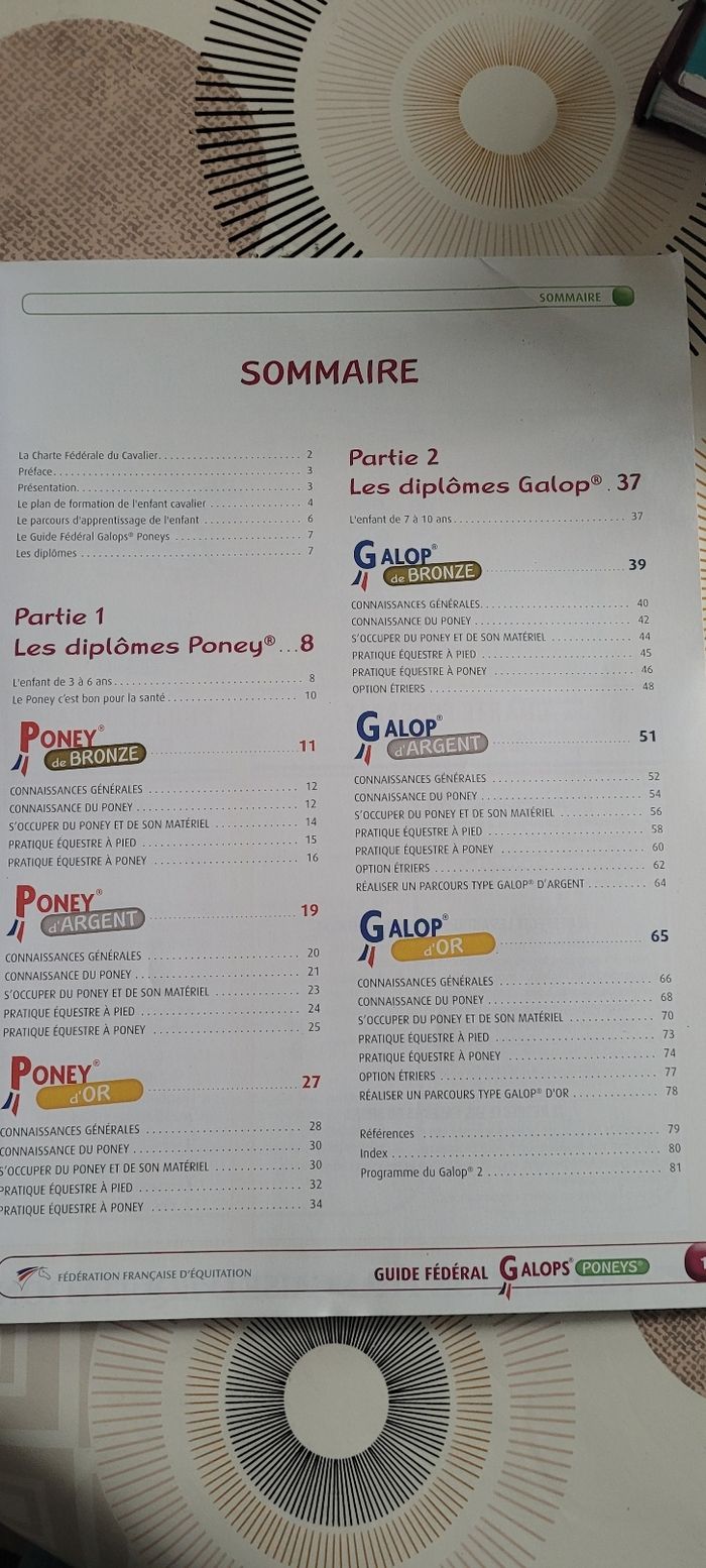 Equitation poney - photo numéro 2