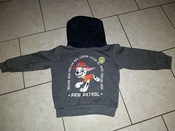 Pull à capuche pat patrouille taille 4 ans garçon 