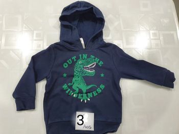 Pull à capuche chaud dinosaure 3 ans