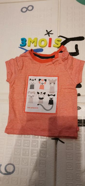 Tee shirt manches courtes