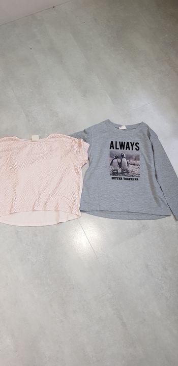 Lot 2 tee-shirts zara 6 ans