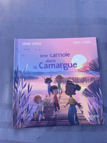 Une carriole dans la Camargue