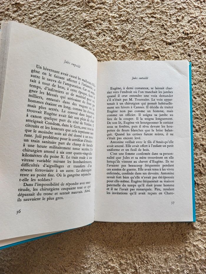 Jules empaille d'Hélène Tournaire – Roman noir / Thriller psychologique - photo numéro 7