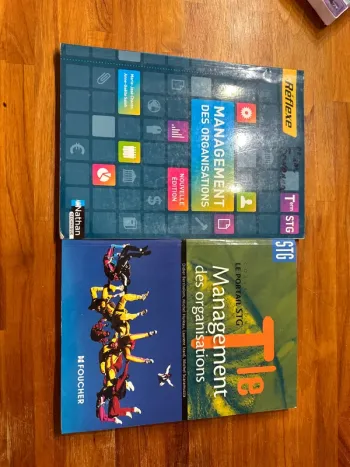 Lot de deux livres terminal STG