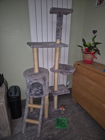 Arbre à chat