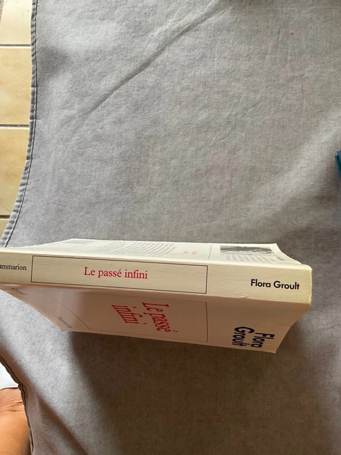 #Le passé infini Flora Groult - photo numéro 4