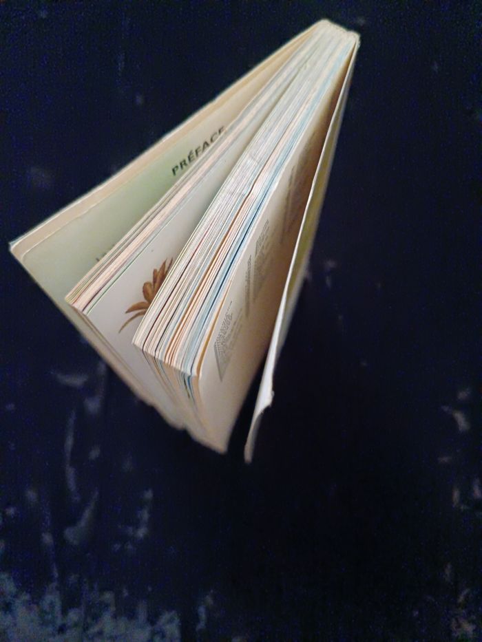 Petit guide flore et faune européennes Hachette - photo numéro 8