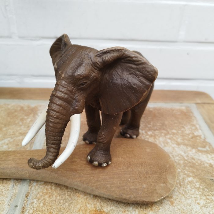 Éléphant d'Afrique mâle - photo numéro 7