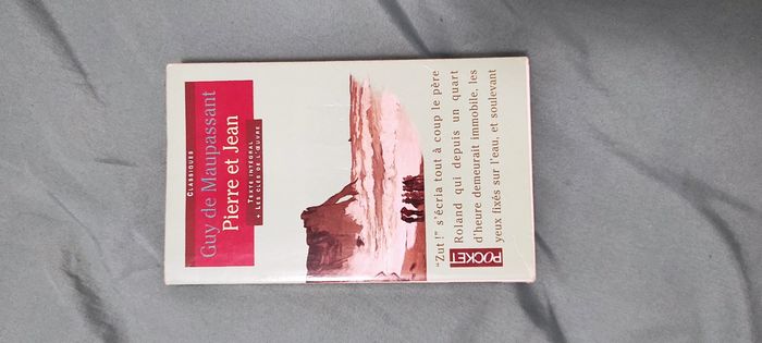 Pierre et Jean de Maupassant